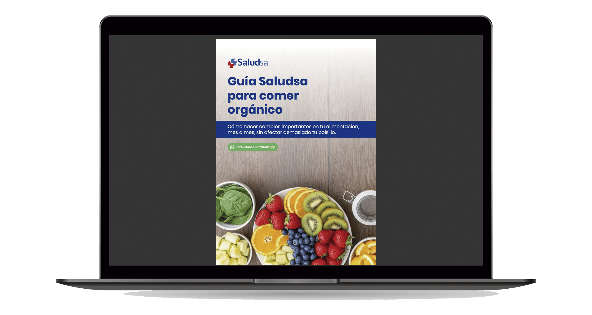 MOCKUP_GUIASALUDABLE